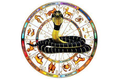 Kala Sarpa Dosha